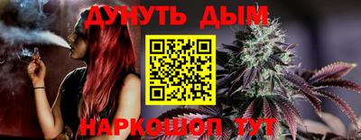 стафф Новодвинск