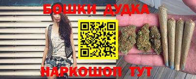 СК Новокубанск