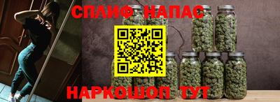 стафф Новодвинск
